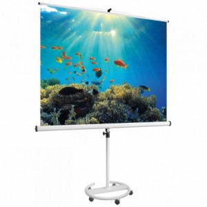 Ecran de proiectie mobil, tip roll up, 1500x1500 mm, CINESTATIV MGN - ACOMI.ro