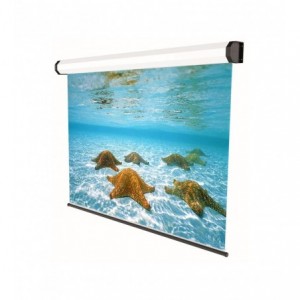 Ecran de proiectie electric Sopar Professional 300*170 - ACOMI.ro