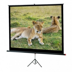Ecran de proiectie cu trepied JUNIOR 155x155 - ACOMI.ro