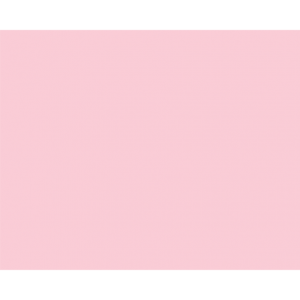 Hartie color copiator A4, roz flamingo pal, 80g/mp, 500/top, OPI74, NIVEUS - ACOMI.ro