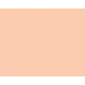 Hartie color copiator A4, salmon pal, 80g/mp, 500/top, SA24, NIVEUS - ACOMI.ro