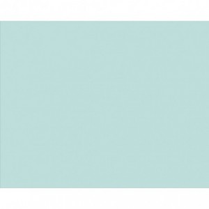 Carton copiator A4, albastru pal, 160g/mp, 250 coli/top, BL29, NIVEUS - ACOMI.ro