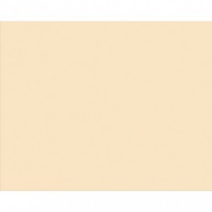 Carton copiator A4, crem, 160g/mp, 250 coli/top, CR20, NIVEUS - ACOMI.ro