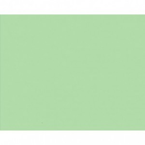 Carton copiator A4, verde deschis pal, 160g/mp, 250 coli/top, MG28, NIVEUS - ACOMI.ro