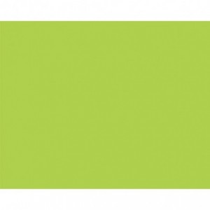 Carton copiator A4, verde lime intens, 160g/mp, 250 coli/top, LG46, NIVEUS - ACOMI.ro