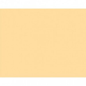 Carton copiator A4, crem chamois, 160g/mp, 250 coli/top, CH32, NIVEUS - ACOMI.ro