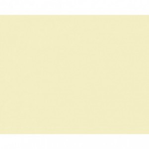 Carton copiator A4, crem ivory pal, 160g/mp, 250 coli/top, EB26, NIVEUS - ACOMI.ro