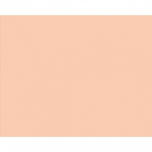 Carton copiator A4, salmon pal, 160g/mp, 250 coli/top, SA24, NIVEUS - ACOMI.ro