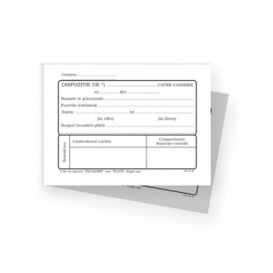 Dispozitie plata si incasare catre casierie, autocopiativ, A6, 2 exemplare, 50 seturi/carnet - ACOMI.ro