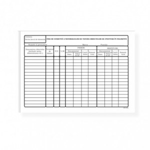 Fisa de evidenta a obiectelor de inventar in folosinta, A4, carton 120 g/mp, tipar fata-verso - ACOMI.ro