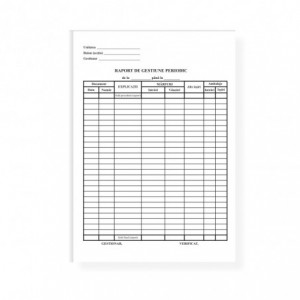 Raport gestiune periodic, A4, 100 file, tipar fata - ACOMI.ro