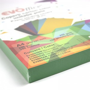 Coperti carton imitatie piele A4, 250g/mp, verde, ACM BRAND